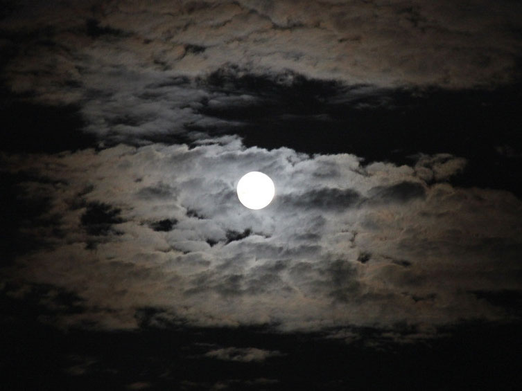 ��Բ֮ʱ ���˷Ÿ룡(ͼ)