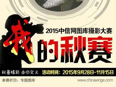 ���ҵ���������Ӱ�����Ƚ����У�