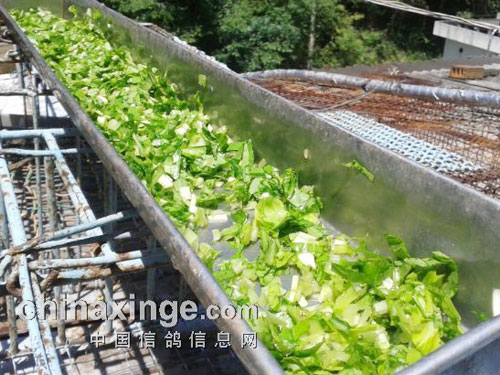 ���䱦 �ĵ��ֲ�(ͼ)