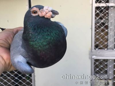 �ָ벻���� �ؼ����ڻ����
