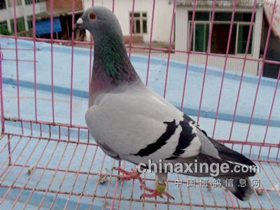 ��ҵ�ࡱ��Ҳ�ܳ�����