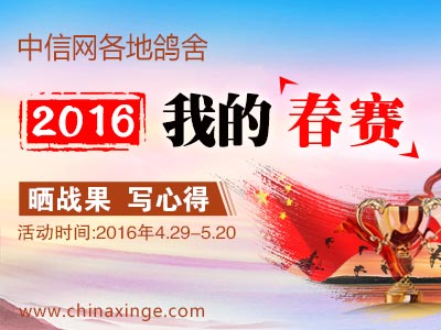 �������ġ�2016�ҵĴ��������Ƚ�����