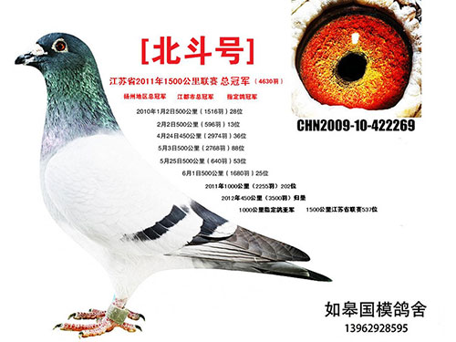 ÿ��һ�룺��Զ�̹ھ��������š�