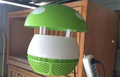 �ļ����θ붻��������������