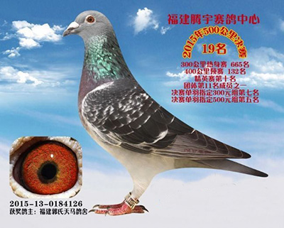 ������ڼ�� ��Ȼ�кø�Ҳ�״�