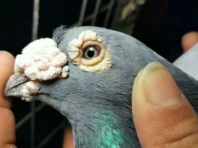 �벻���� ������������
