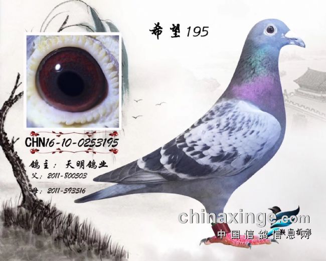 �����벡֪ʶ
