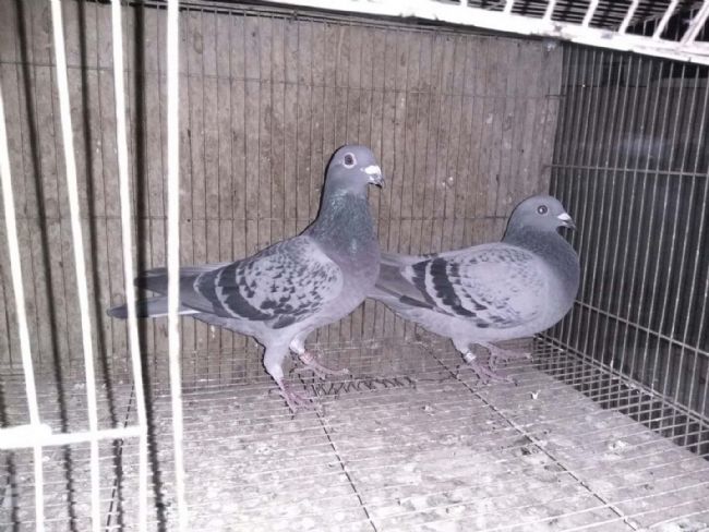 7��ʵս�ܽ����������