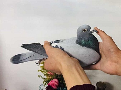 �������� �ҵİ���