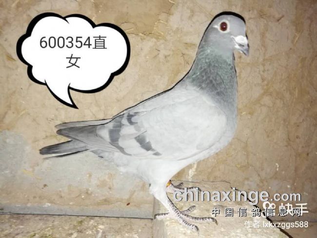 һ�����������������ͼ��
