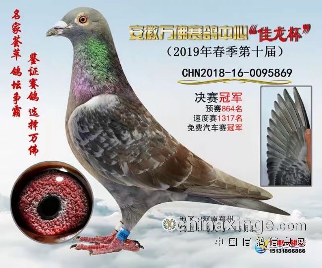 ��һ������ھ� �����Ǿ�28����