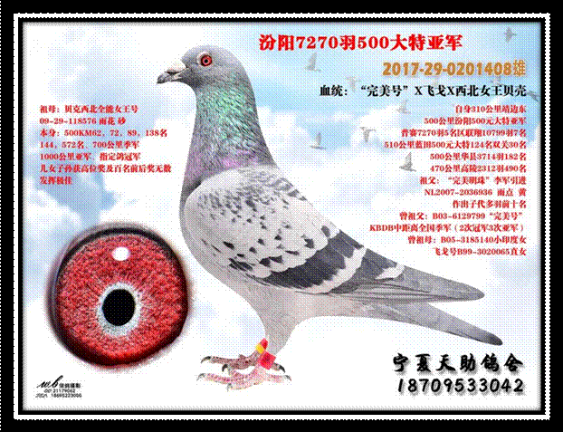 ���ǿ��벻�翴��