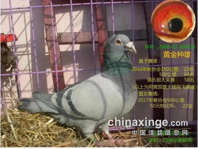 ��֮������Ѫ��֮