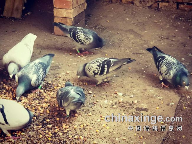 ����ʮ���һ�δ�����Χ