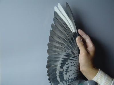 �׸���Ȼ����ע������