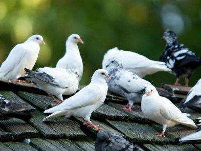 �ж������벻���ع�