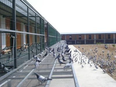 �ٰ칫��������Ĺ���