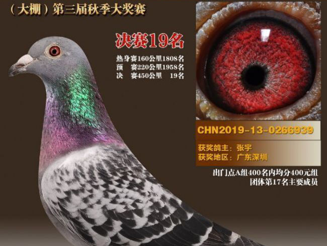 2019����ܽ�֮�����ʮ��