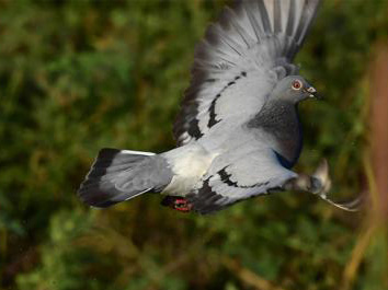 �����޻ڣ���������Ҳ������