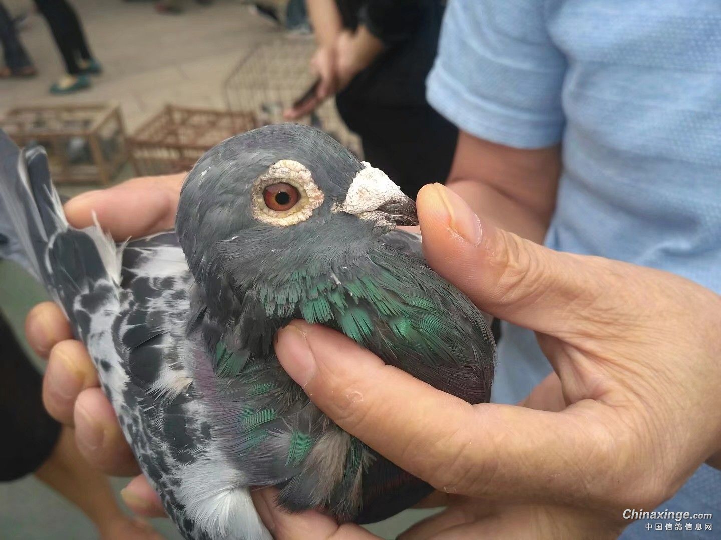 ������Ǽ��������Ψһ��׼