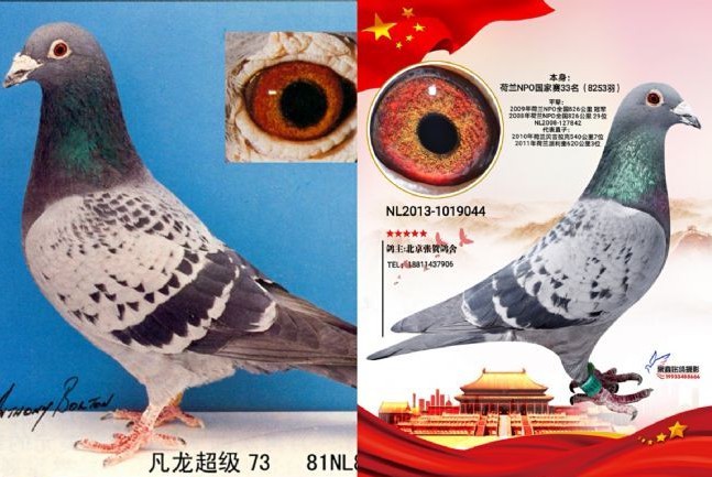 С����ʤ��������ɸ������������