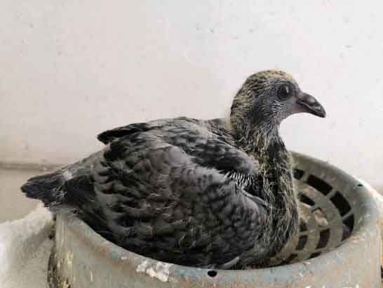 ���ָ������� ����Ӯ�Ĺؼ�