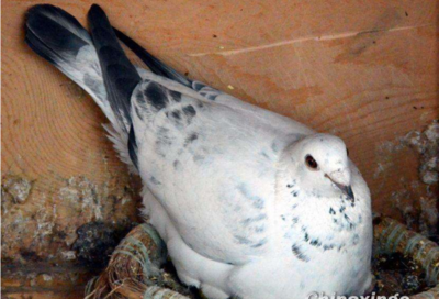  ����·��û�������ġ���ʦ��