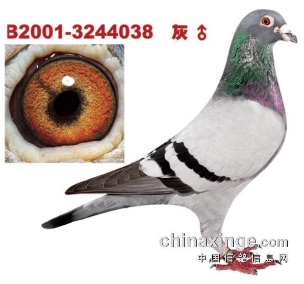 ��ô��������ʹ�˲����ź���