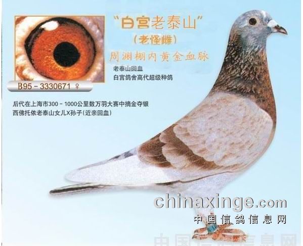 ��׼�úá���Դ�롱�ǹؼ�