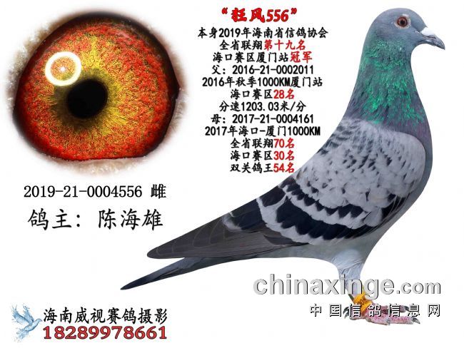 ��˵����ë�γ桢�����������ڳ�