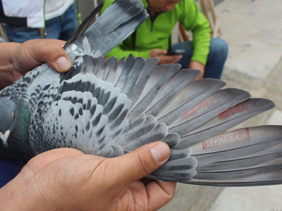 0Ԫ���ĵ��ջ�û�Ϲ����ĳ���Ԫ