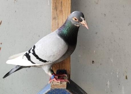 ����ѡ���ס���߾䣡