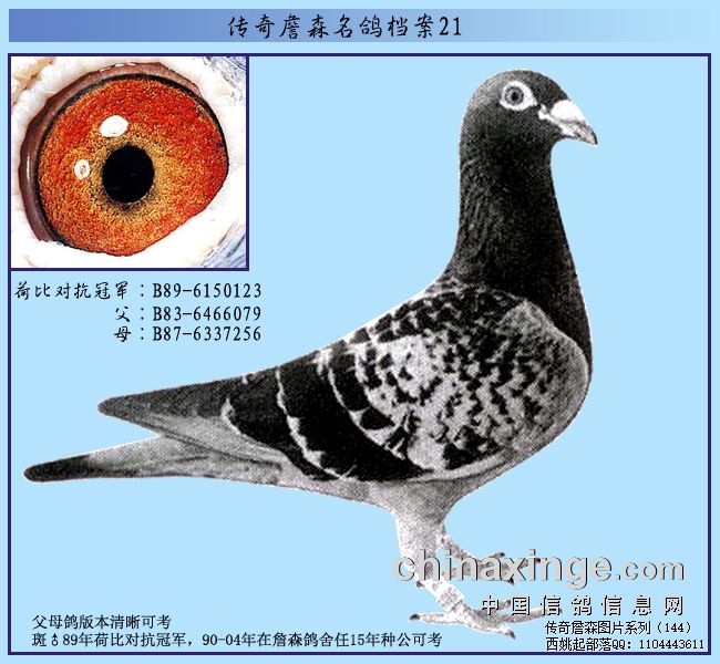 ղɭ�ֵܵ����һ���ھ�