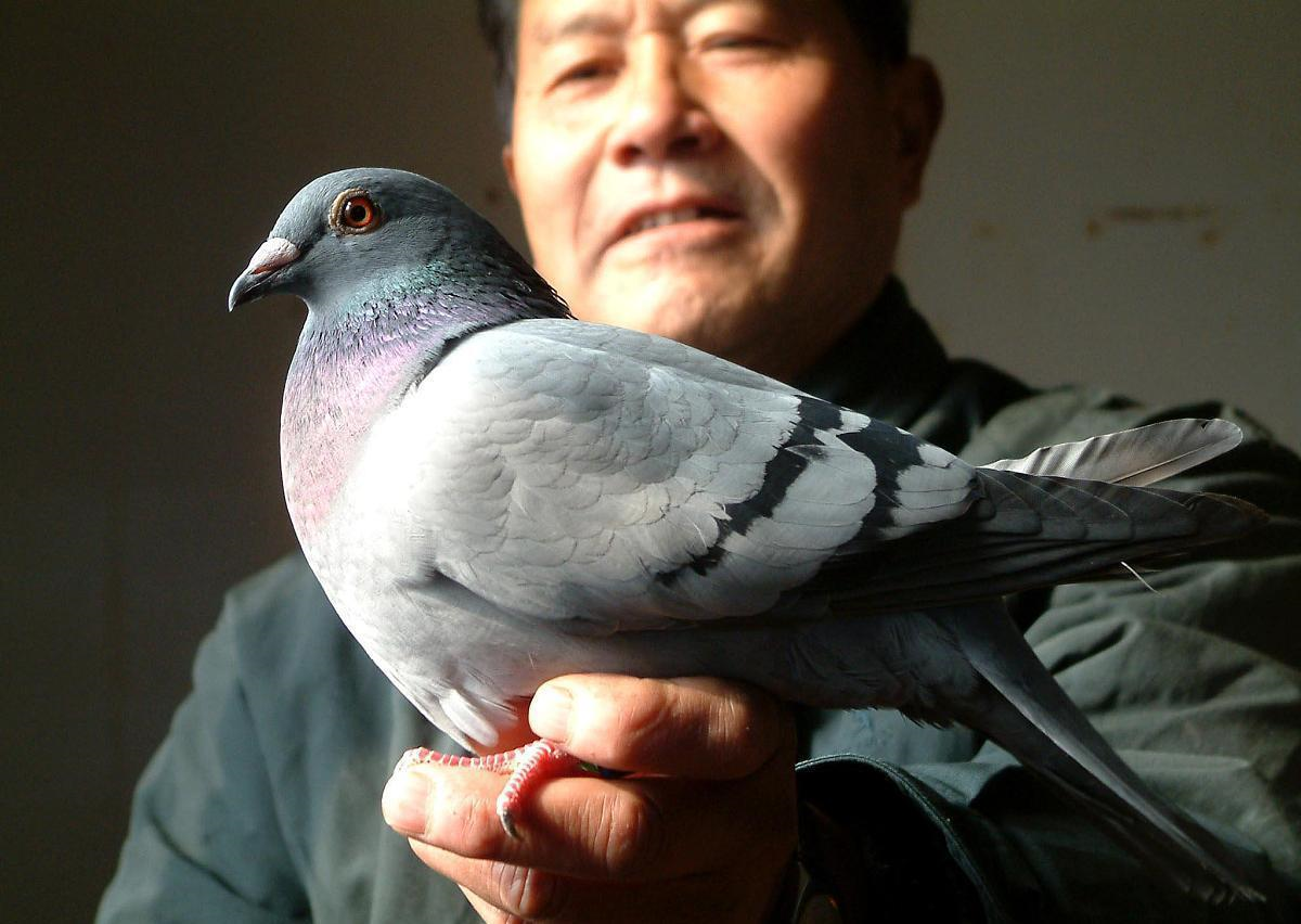 ��̸ѪͳѪԵѪϵ