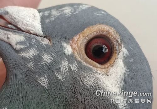 �ø뵽�Ķ��ܷ�