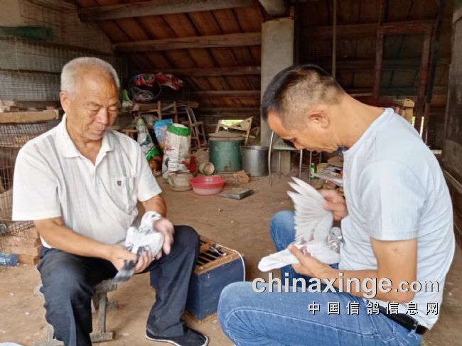 ������� ��׼�������ճ���