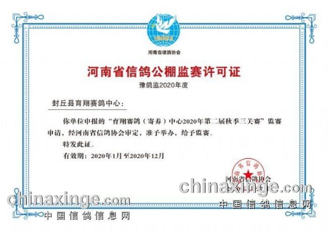 �������ҷ��ţ�����һ����ͣ���˸�