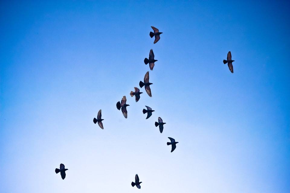 �������֪