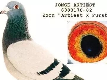 ������Ѫ�������ӽ�