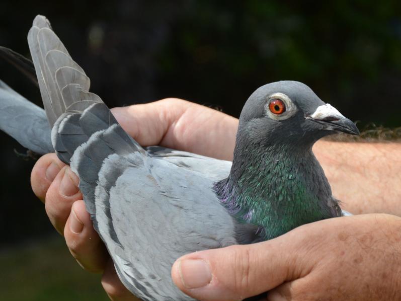 ŷ���Ļ���