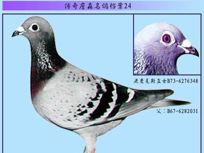 ����ղɭ���뵵���������˹ֱŮ