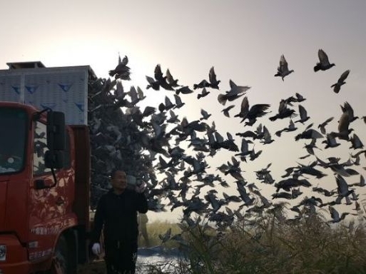 ���ޣ�����ж�����׷�ӽ���100��