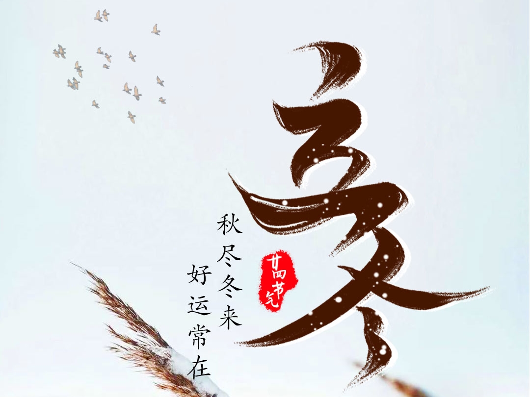 �ﾡ���� ��������