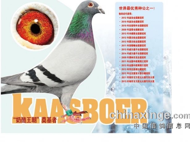 �ӡ�����С�ӡ������½�ķ�� ��Ѫ���ô�