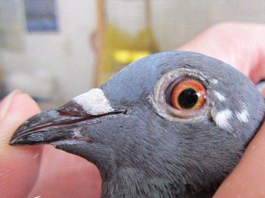  ������Ժܹؼ�