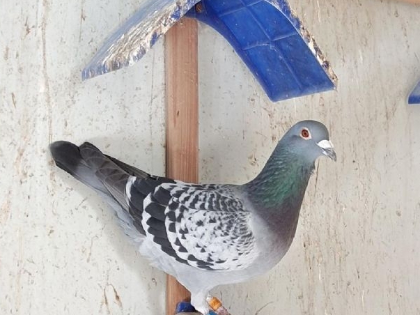 ����ǧ����3���ǰ���� һ��ϲ��ھ�