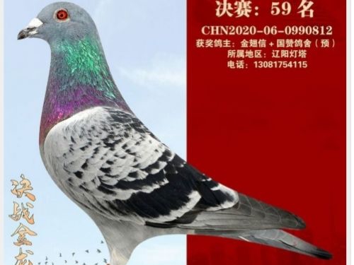 ��è���� ����Ҳ��è