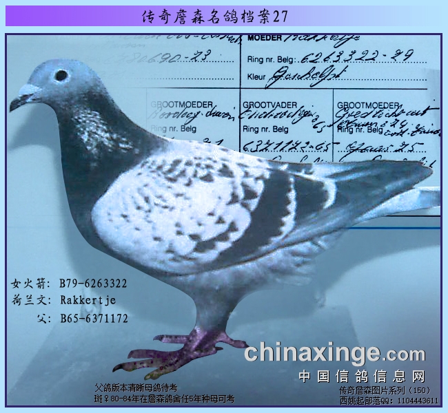 ����ղɭ���뵵����Ϊ���Ů����