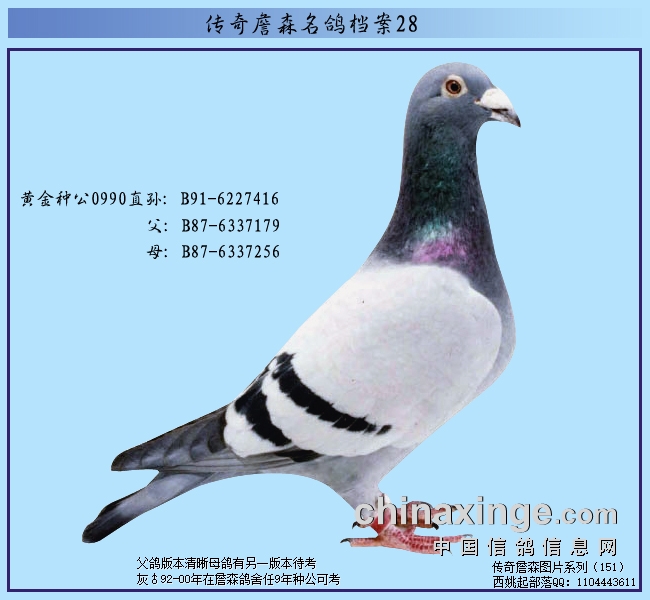 ����ղɭ���뵵������ЩĬĬ���ŵ��ָ�