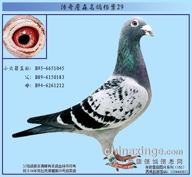 ����ղɭ���뵵���������˵ľ�������